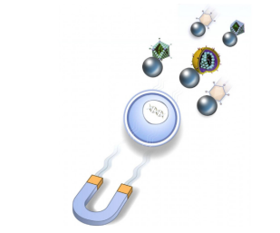 艾美捷 ViroMag转导试剂的特色和应用介绍
