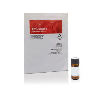 LysoSensor™ Yellow/Blue 葡聚糖，10