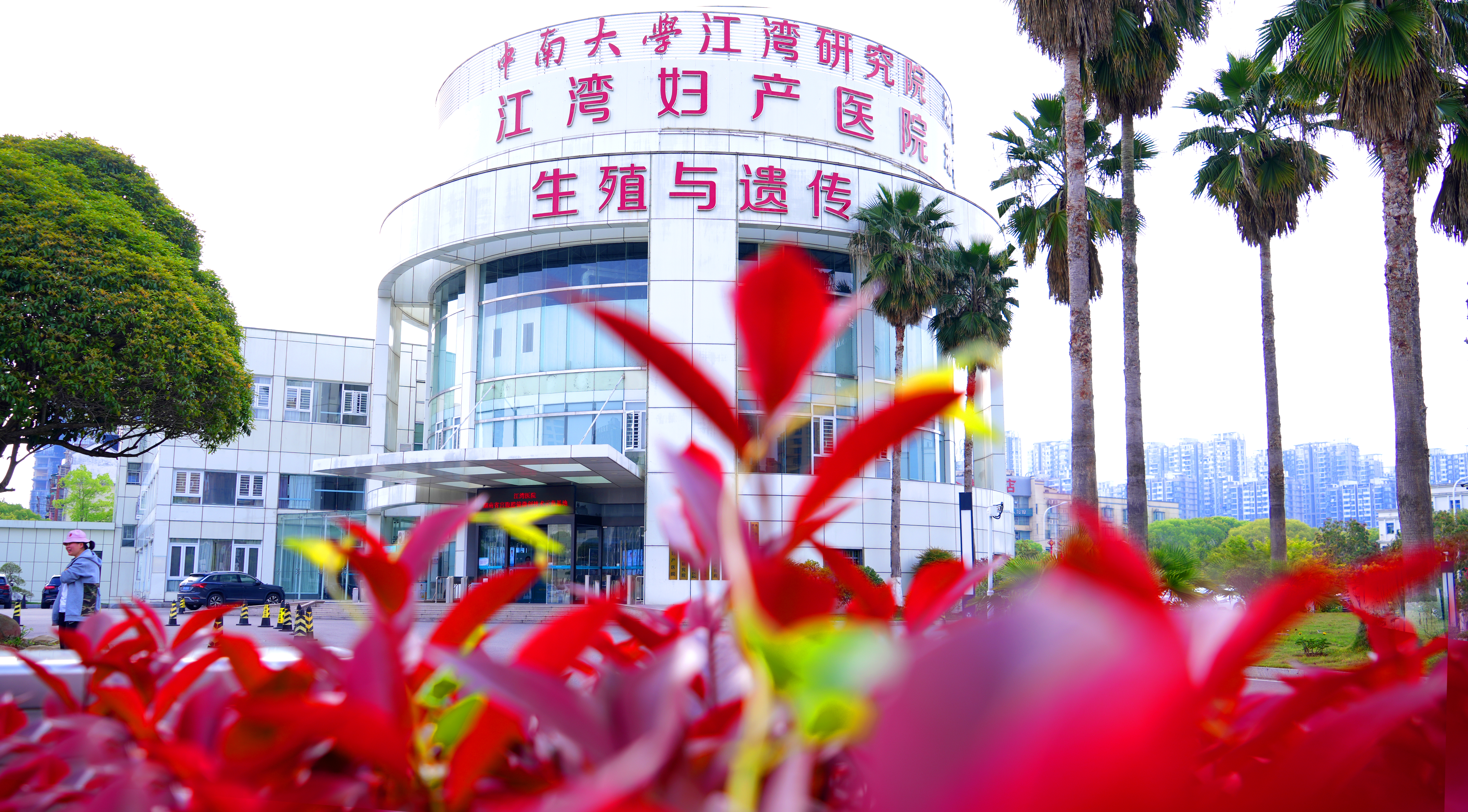 江湾微课堂丨每月 2 次「月经」，原来是排卵期出血在作怪！