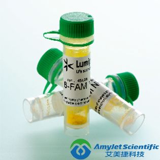血液和口腔基因组DNA试剂盒|LumiPure genomic DNA Blood and Buccal Kit
