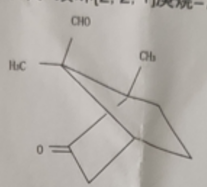 图片预览