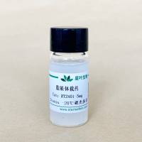 载质粒DNA阳离子脂质体