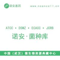 拜耳接合酵母Zygosaccharomyces bailii