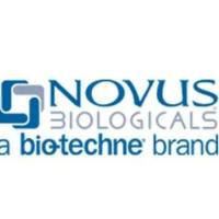 Rabbit Monoclonal DDR1 Antibody Pair [HRP]