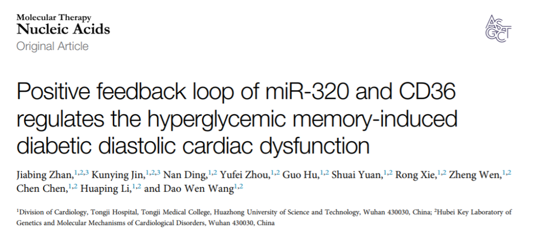 华中同济医院糖尿病心肌病(DCMP)模式动物实验发现MiR-320和CD36正反馈回路