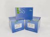 2 x SYBR Green qPCR Mix