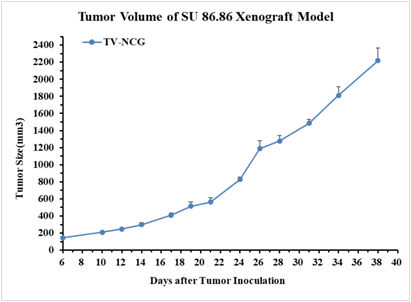 胰腺癌肿瘤模型SU 86.86  