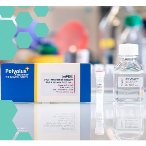 Polyplus 101000053 DNA转染试剂jetPEI®（原货号101-10N）1mL