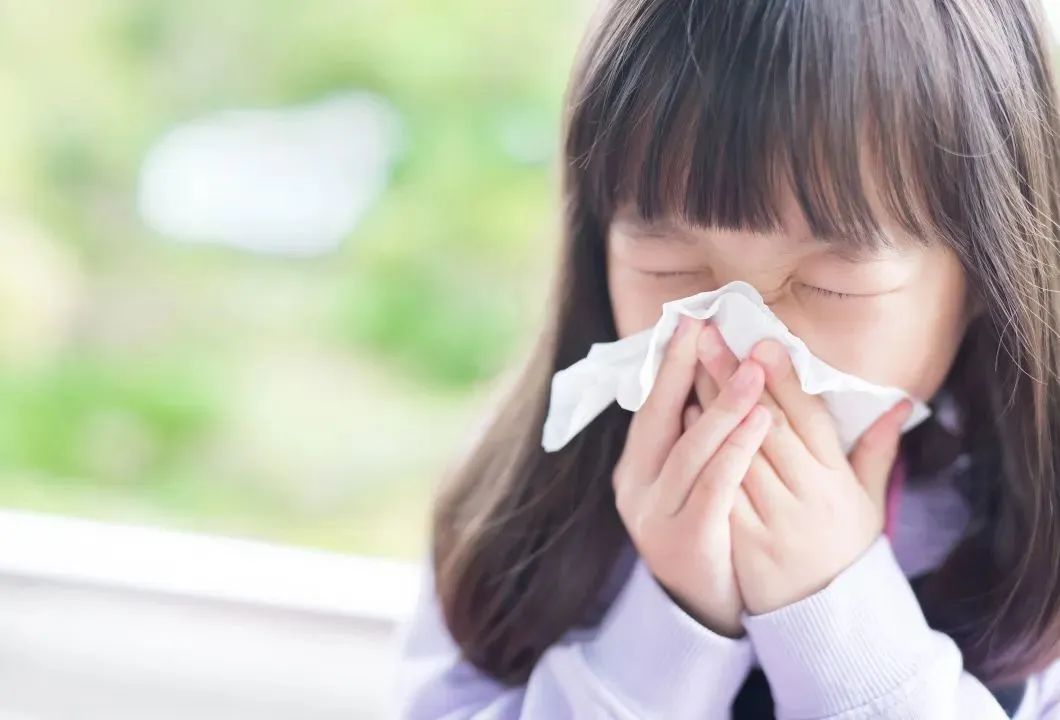 全国爱鼻日|致 24 小时不停歇的鼻子