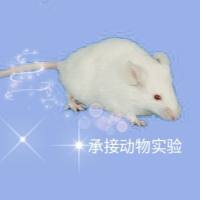 Ⅱ型糖尿病模型