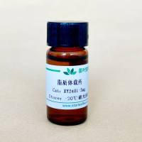 链霉亲和素修饰的靶向脂质体