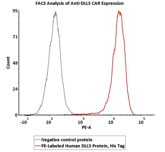  dll3 notch lab on web