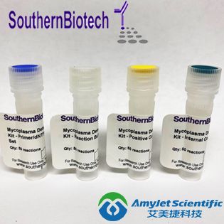 AposcreenTM Annexin V凋亡试剂盒（PE标记）|Aposcreen Annexin V Apoptosis Kit-PE