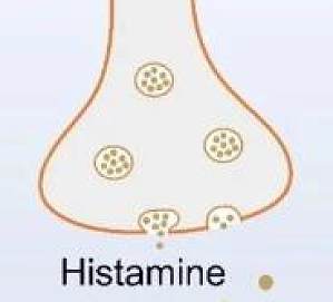 丁香实验推荐阅读