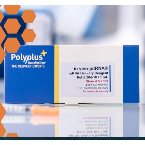 Polyplus 101000122 RNA脂质体转染试剂  