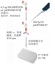 产品细节图片4