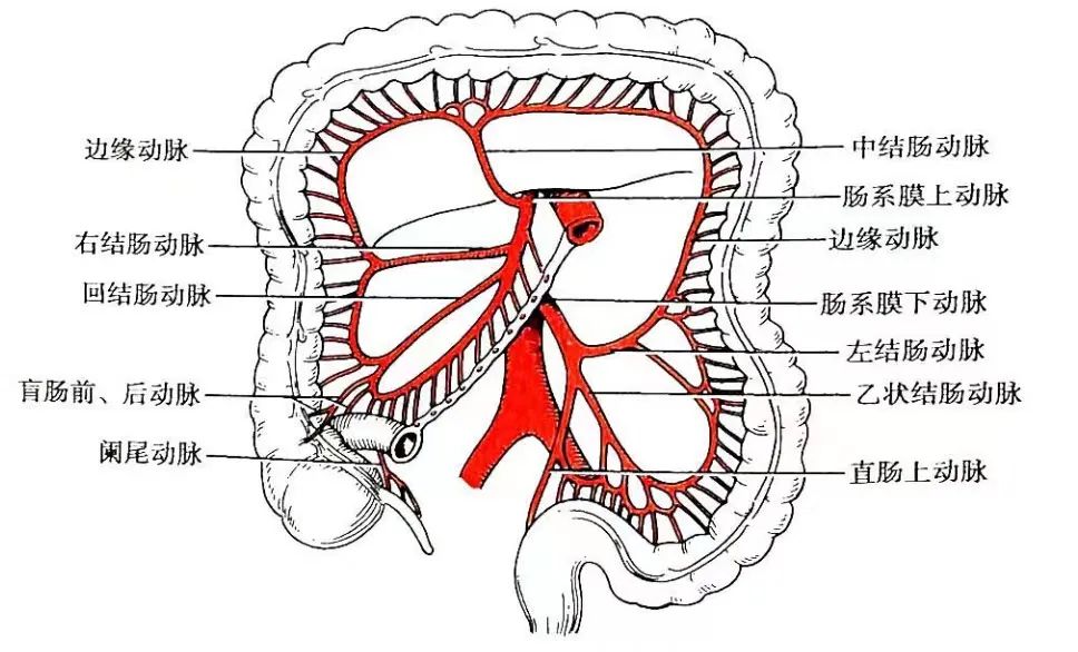 以为是「发福」，原来是巨大腹腔肿瘤