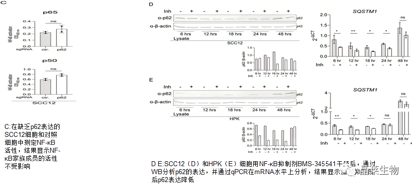 技术资料图片14