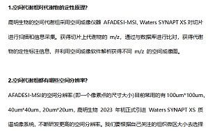 丁香实验推荐阅读