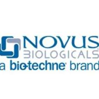 Rabbit Monoclonal MESDC2 Antibody (502) [FITC]