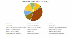 丁香实验推荐阅读