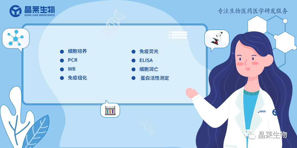 技术资料图片18