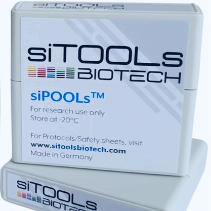 siPOOLs（一款高效、特异性好的RNAi试剂，可有效消除脱靶效应）