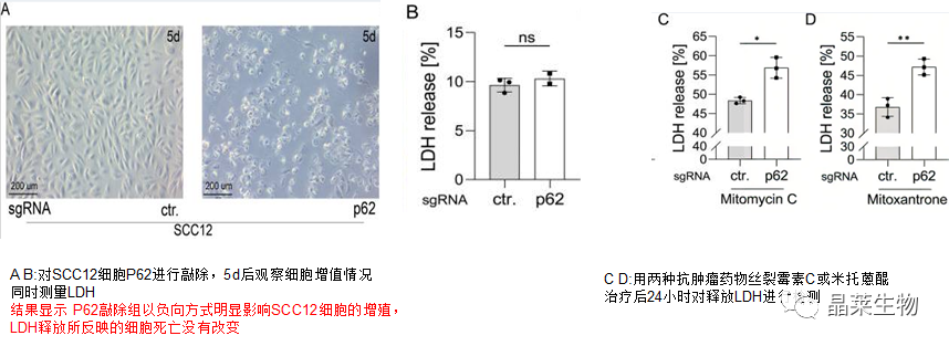 技术资料图片15
