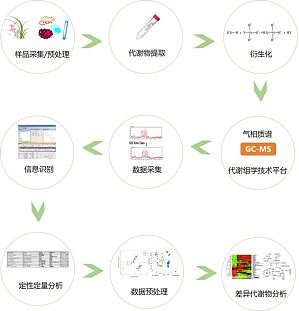 丁香实验推荐阅读