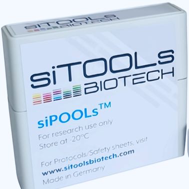 siPOOLs用于药物靶点筛选研究（RNAi）