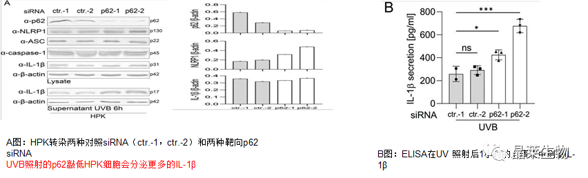 技术资料图片6