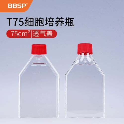 BBSP T75透气盖细胞培养瓶