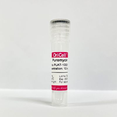 OriCell®Puromycin (10mg/mL)嘌呤霉素