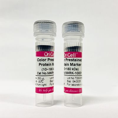 OriCell®彩色预染蛋白Marker（10~180kDa)