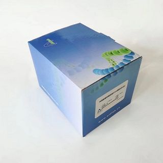 寡核苷酸纯化试剂盒 AidQuick Oligo Purification Kit 