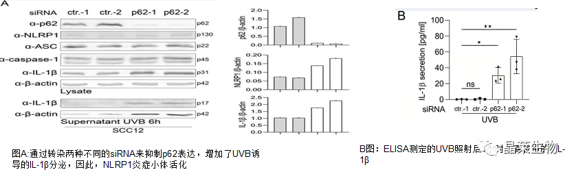 技术资料图片4