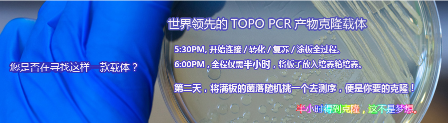 酵母高纯质粒小量快速提取试剂盒