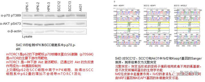 技术资料图片9