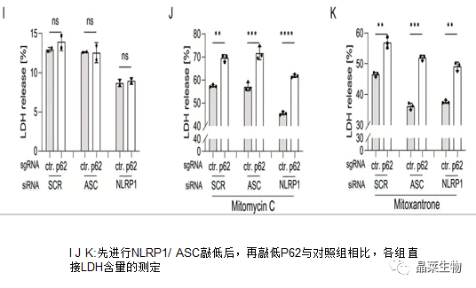 技术资料图片17