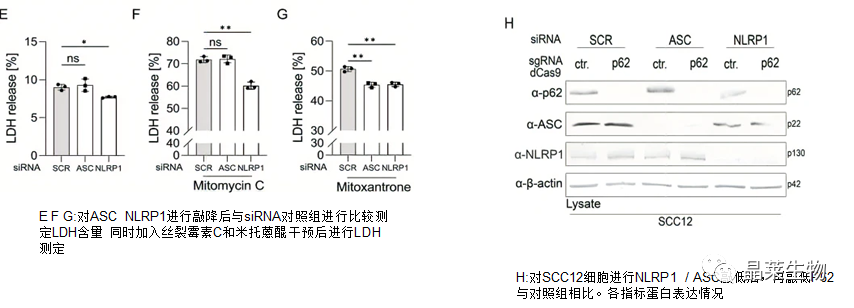 技术资料图片16