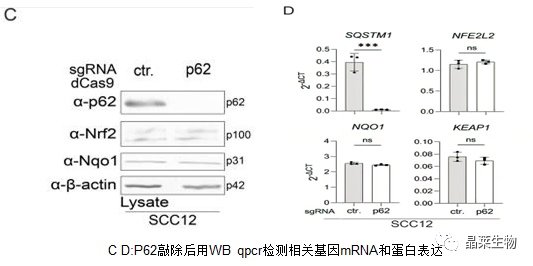 技术资料图片11