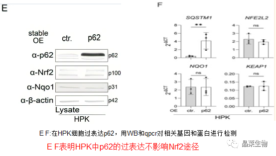 技术资料图片12