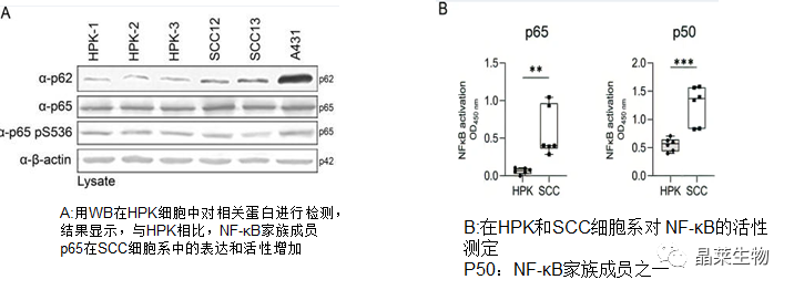技术资料图片13