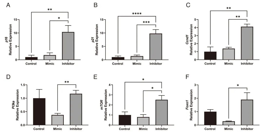 miRNA研究进展盘点丨20230406期