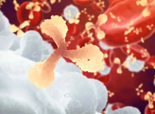 IVD原料发展前景