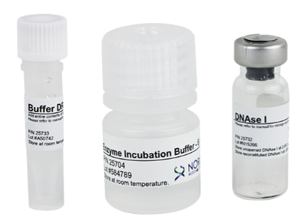 艾美捷无RNase的DNase I试剂盒解决方案 艾美捷无RNase的DNase I试剂盒解决方案