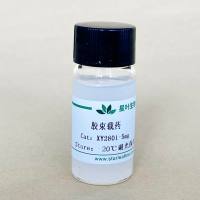载孕酮纳米胶束