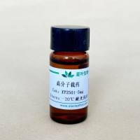 PLGA-PEG载牛血清蛋白