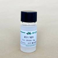 CY3标记的PLGA-PEG载阿霉素