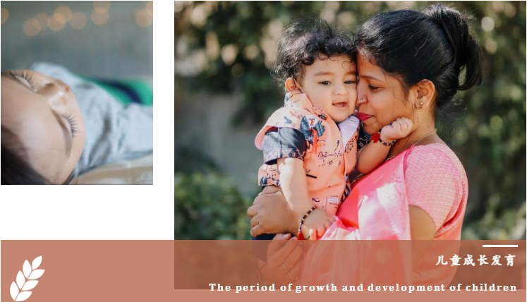 贫血补血，需对症下药！